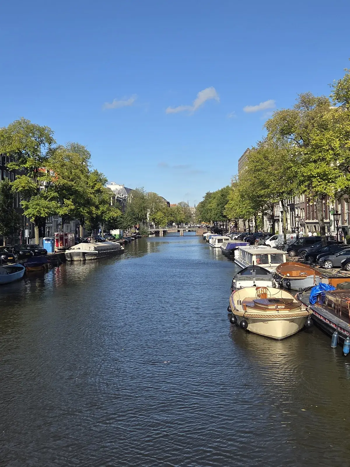 Amsterdamse gracht met boten en bomen langs de kade